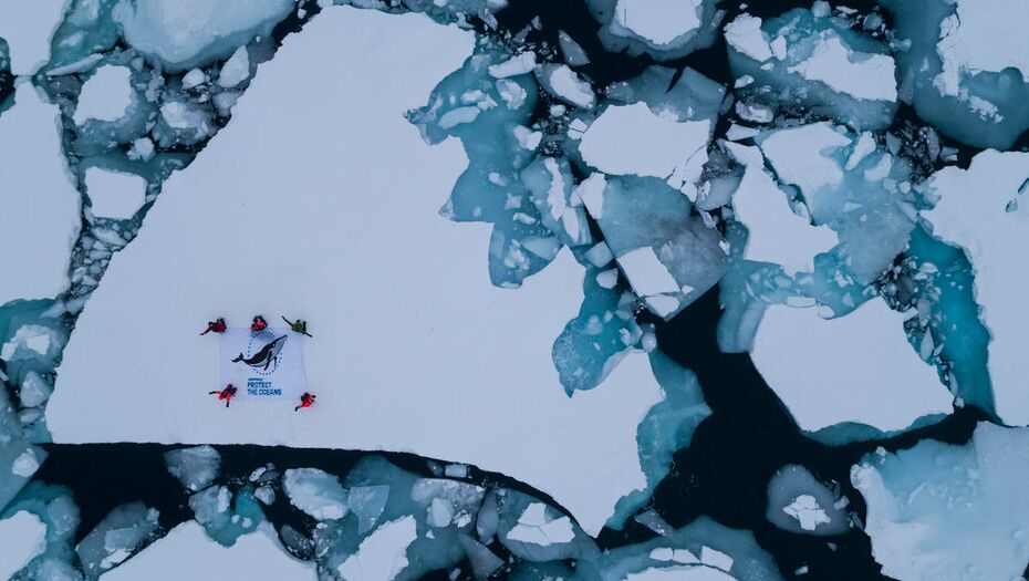 Eine große Eisscholle aus der Luft fotografiert, auf der Scholle halten fünf Aktivisten ein Banner mit der Aufschrift "Schützt die Ozeane" hoch.