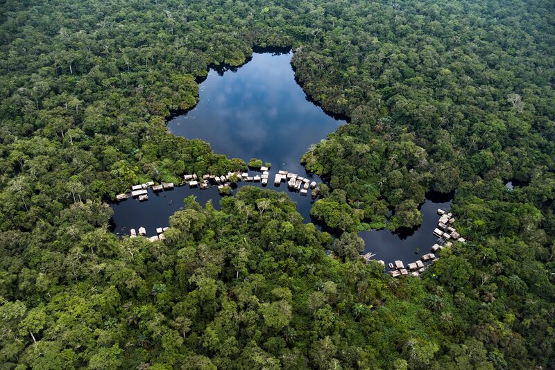 Foto aus der Luft vom Torfmoor im Kongo.